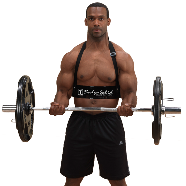 Body-Solid  Biceps Bomber
