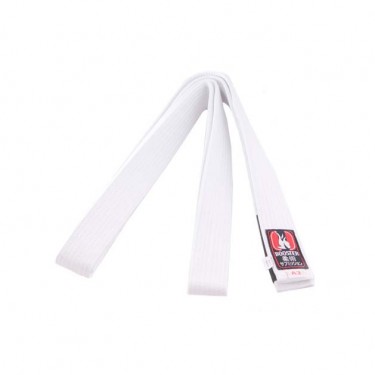 Booster  BJJ Belt - L