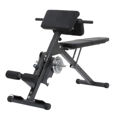 Finnlo  Ab & Back Trainer