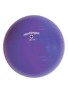 Harbinger Fitness bal 55 cm