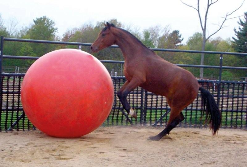 Gymnic Mega Bal / Paardenvoetbal 150 cm